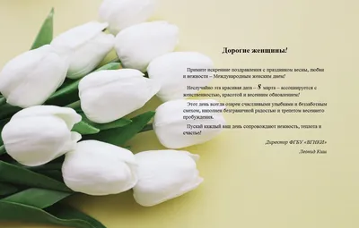 Заказать тюльпаны на 8 марта. Купить тюльпаны в Твери недорого. Доставка  свежих тюльпанов.