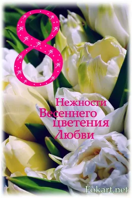 Тюльпаны белые на 8 марта — купить в Екатеринбурге