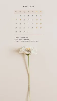 8 МАРТА. INSTA WOMAN. ПЕРЕЗАГРУЗКА. - Вилла Паста - итальянский ресторан в  центре, пятницкая, новокузнецкая, веранды