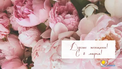 Идеальное 8 марта | Блог о волосах, Здоровые зубы, Еда кафе