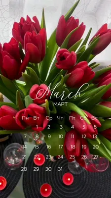 8 Марта — итоги Конкурса instagram в ANGEL! — Салон красоты «Angel», г.  Реутов