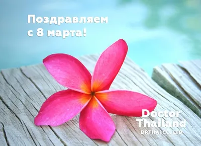 Красивые и нежные поздравления с 8 Марта | 7Дней.ru