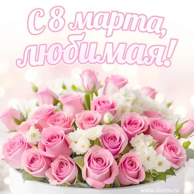 Какие цветы подарить девушке на 8 Марта | Сколько цветов подарить на 8  Марта любимой девушке