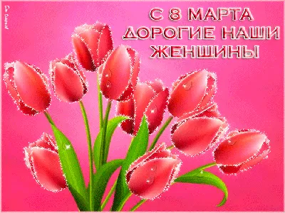 Дорогие женщины, девушки, уважаемые коллеги! | ИГА
