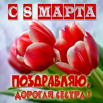 Zoobe Зайка С 8 марта! Лучшее поздравление! - YouTube