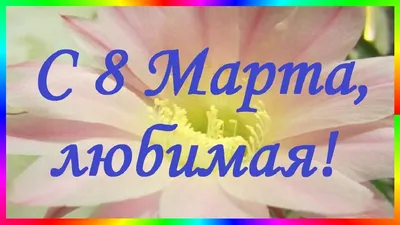 Недорогая СМС рассылка на 8 марта. Снижаем расходы, используя каскадную  переотправку — Блог SigmaSMS