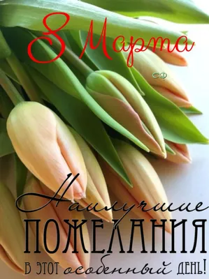 С 8 марта! | Столичная медицинская клиника