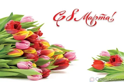 Мясоедовъ - С международным женским днем - 8️⃣ марта🌸 Дорогие женщины, мы  - команда «Мясоедовъ», поздравляем вас с этим прекрасным весенним  праздником! Желаем вам крепкого здоровья, профессиональных, творческих и  личных успехов💪 Пусть