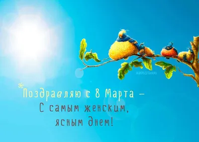 Всех девушек поздравляю с 8 марта! — DRIVE2