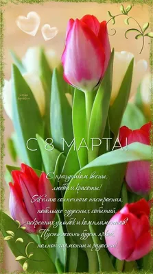 8 марта мужики доставайте｜Поиск в TikTok