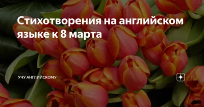 Английский клуб Красногорск