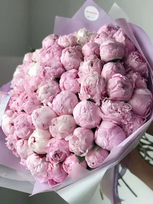 Букет 11 \"Сара Бернар\" Cherry купить в Москве с доставкой недорого – id 953  | Roses Delivery