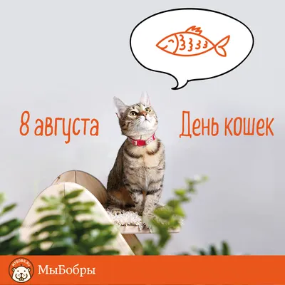 Пин от пользователя Bjarka Med на доске 8 марта | Веселые картинки, Смешные  открытки, Веселые каламбуры