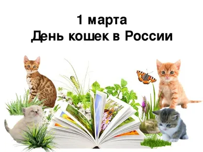 https://www.kinoafisha.info/articles/spryachte-podalshe-eti-bukety-na-8-marta-nravyatsya-zhenschinam-no-opasny-dlya-koshek_id73682_a15448936/