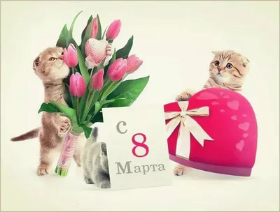 КОТЫ и ЦВЕТЫ к 8 МАРТА. По страницам котоальманаха \"Коты через века\".