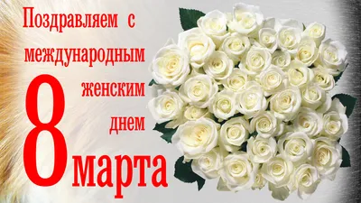 https://bigholiday25.ru/shary-folga-s-risunkom/1202-3725/