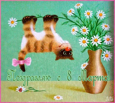 Кот 8 марта: сюрпризы от лучшего друга - Кот, пёс и я