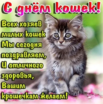 Торт с Котятами 25122020 стоимостью 49 150 рублей - торты на заказ  ПРЕМИУМ-класса от КП «Алтуфьево»