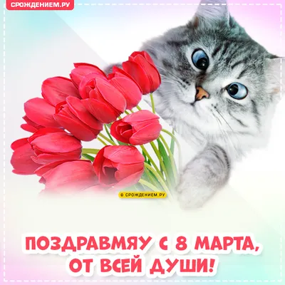 Пушистые и очень опасные: к чему снятся котята - 7Дней.ру
