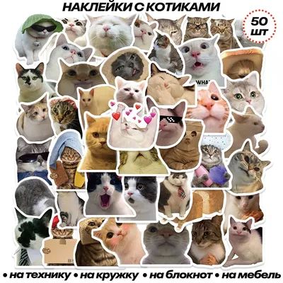 Контэнт\" \"Блокнот с котятами\" КР ( 130 x 130 мм) 32 л. точка Зеленый  99907416