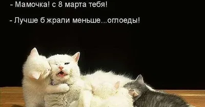 Подарочные наборы Happy M \"Шоколад с предсказаниями\" сладкий бокс, приколы  / подарок мужчине, женщине на 14,23 февраля и 8 марта - купить с доставкой  по выгодным ценам в интернет-магазине OZON (1119434808)
