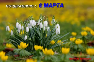 Ложка с гравировкой именная с 8 Марта \"Татьяна\" (2876435) - Купить по цене  от 39.00 руб. | Интернет магазин SIMA-LAND.RU