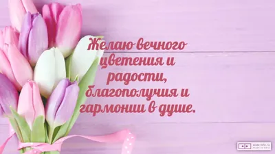 Картинки поздравления с 8 марта татьяна (43 фото) » Юмор, позитив и много  смешных картинок