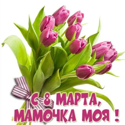 https://www.pinterest.it/pin/822751425705958304/