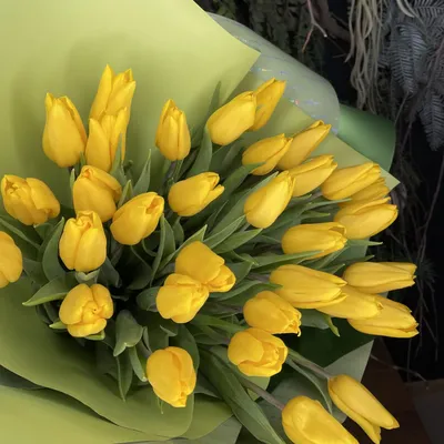 Флористы рассказали, какие цветы мужчины обычно покупают на 8 Марта -  05.03.2020, Sputnik Беларусь