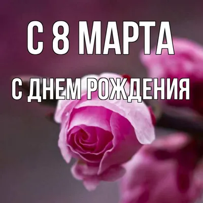 С днем рождения поздравляем Ольгу! — НЕМЦОВ МОСТ