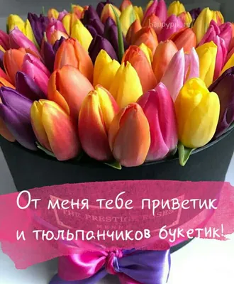 Фото С Добрым Утром | TikTok