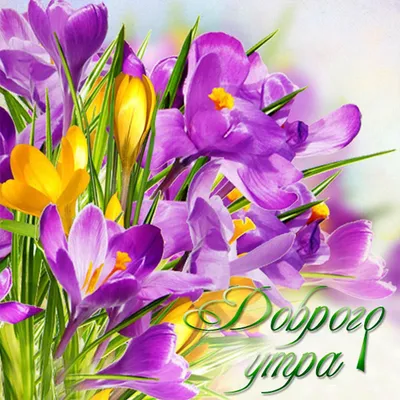 Ludmila S - С добрым утром и С 8 марта, мои девочки милые и несравненные.  Всем желаю здоровья и любви и быть и оставаться самыми красивыми)))  🌷🌷🌷🌷🌷🌷🌷🌷🌷🌷🌷 | Facebook