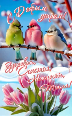 https://www.tiktok.com/@vlada_almaty/video/7343782418710662406