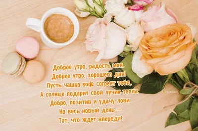 https://vk.com/svetvomneivokrug