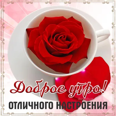 Картинки \"С добрым утром марта\" (100 открыток) • Прикольные картинки и  позитив