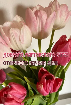 https://lite.telegraf.com.ua/lite/2024-03-06/5838024-dobroe-utro-khoroshego-dnya-milye-vesennie-otkrytki-i-kartinki-dlya-blizkikh-i-druzey