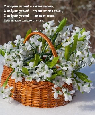 https://melitopol-news.ru/society/2024/03/08/71813.html