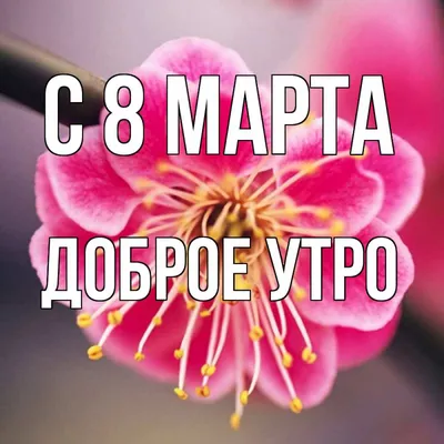 Оригинальная открытка с наступающим 8 марта, со стихами • Аудио от Путина,  голосовые, музыкальные