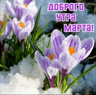 Картинка: С добрым утром! Пусть удачным будет день!