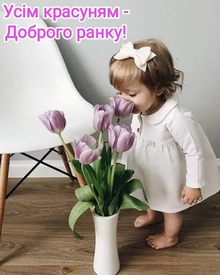 Букет тюльпанов на столе и пожелание доброго утра