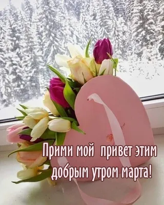 АКЦИЯ 1+1 К 8 МАРТА!!! Дина Павлова
