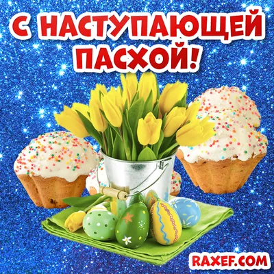 снаступающеймасленицей | TikTok