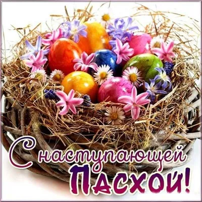 Ceramex JOB Center - С наступающей Пасхой! Пускай Господь оберегает от бед,  благословляет на хорошие дела, ограждает от дурного. Пусть пасхальный кулич  соберет всех родных за одним столом и порадует своей сладостью.
