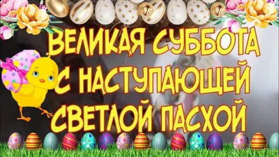 16490698372022_1.jpg
