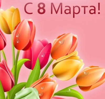 Девушки, поздравляем с наступающим 8 марта 🌷🌷🌷 | Instagram