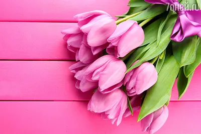 Цветы и открытки на 8 марта | Цветы 24 часа Лара