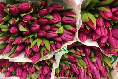 Флористы назвали самые популярные цветы к 8 марта | Информационное  агентство «Время Н»