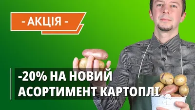 Продам/купить картофель Курас, Альвара, Санте 2, 8 грн - Чернигов — Ukrboard