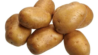 Как самый популярный картофель в США | Новости и события отрасли  овощеводства и картофелеводства | Дзен