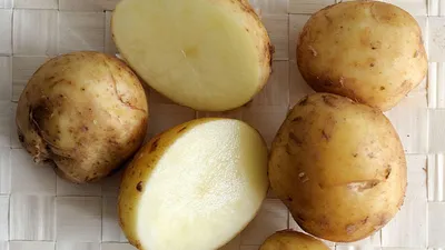 🥔 Как вырастить ранний картофель и какой сорт выбрать